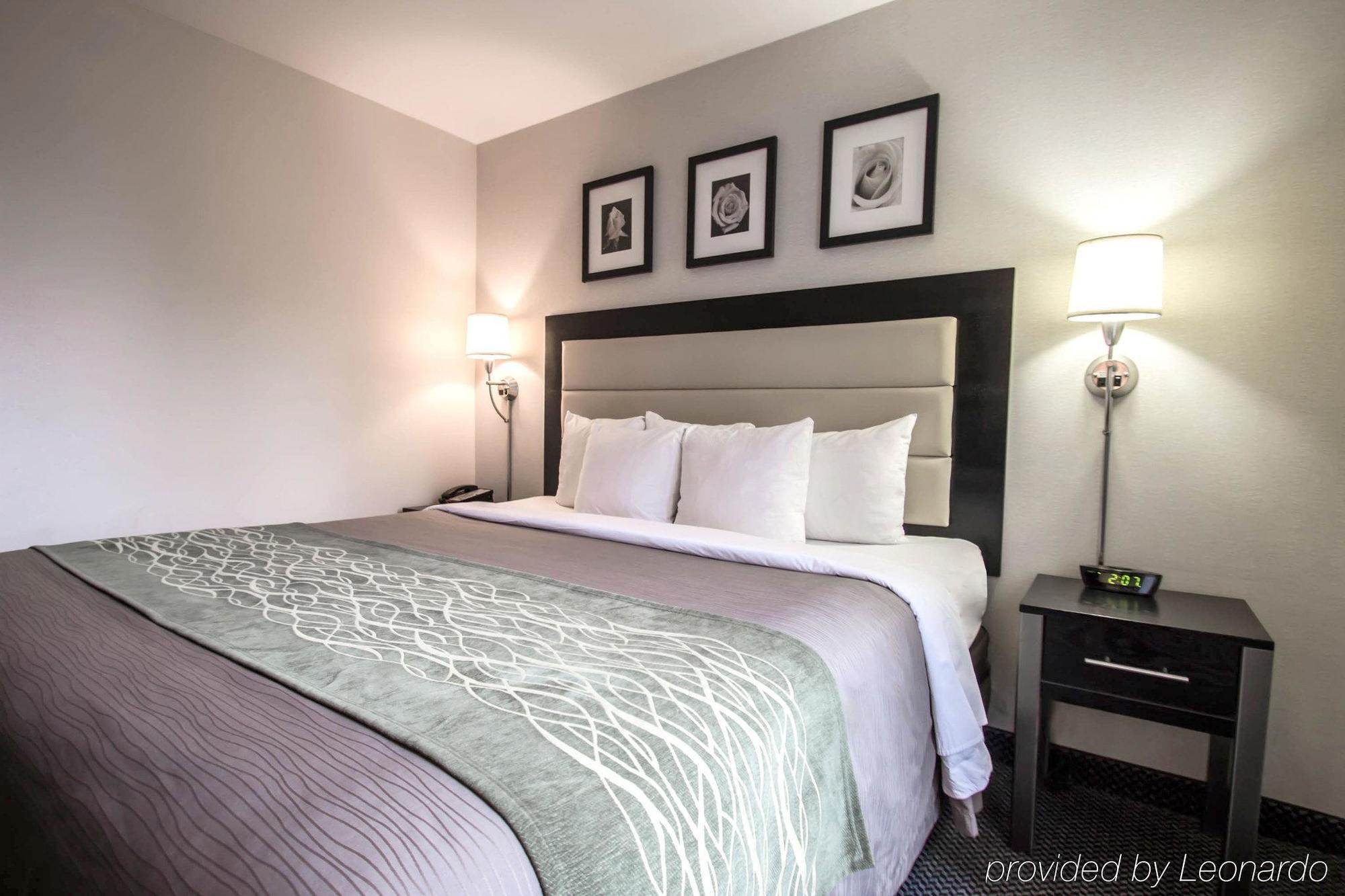 ניו יורק Comfort Inn Times Square South Area מראה חיצוני תמונה