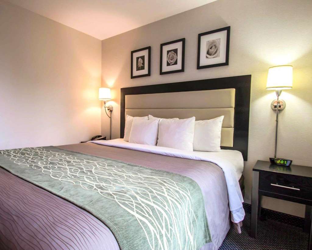 ניו יורק Comfort Inn Times Square South Area חדר תמונה
